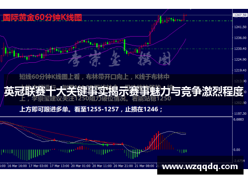 英冠联赛十大关键事实揭示赛事魅力与竞争激烈程度